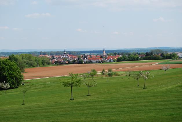 FDP Ortsverband Groß-Zimmern